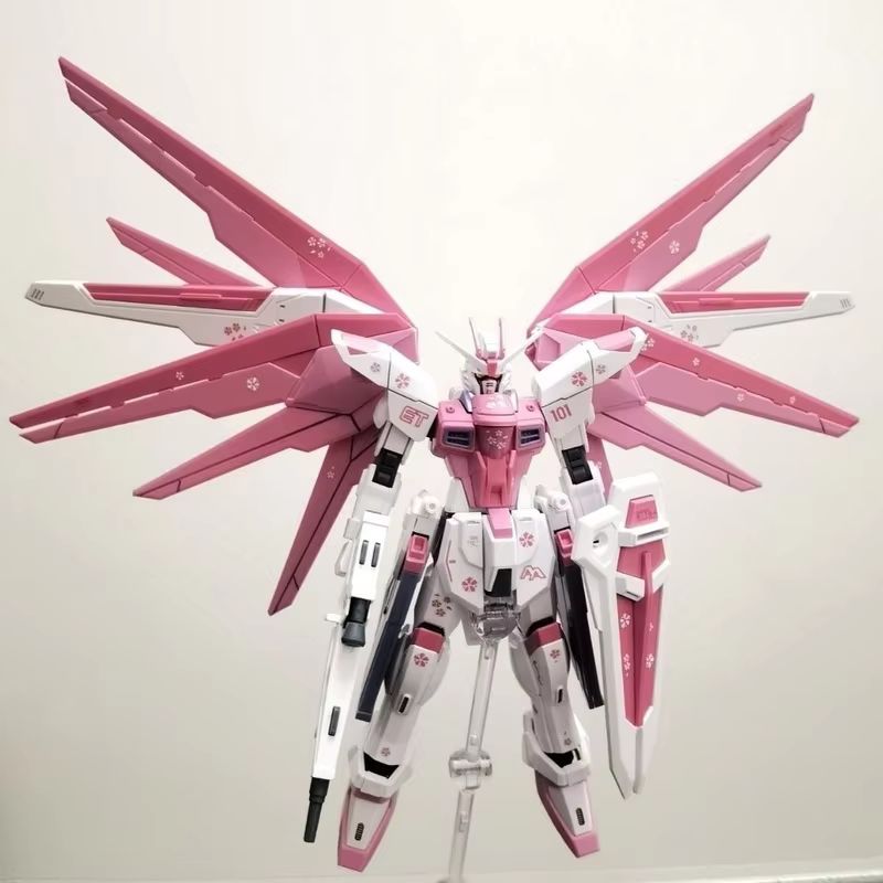 JMS HG 1/144 ZY-06 Freedom Ass - Model Kit Jms avis et prix