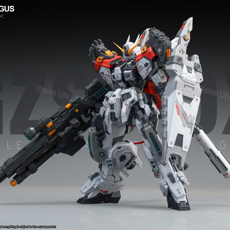 Nouveau modèle ZZA 1/100 MG RE - Model Kit Regus avis et prix